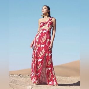 NWT Diarrablu Dalia Dress | Abstract Rose -XS